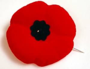 Wear a poppy above your heart to remember.